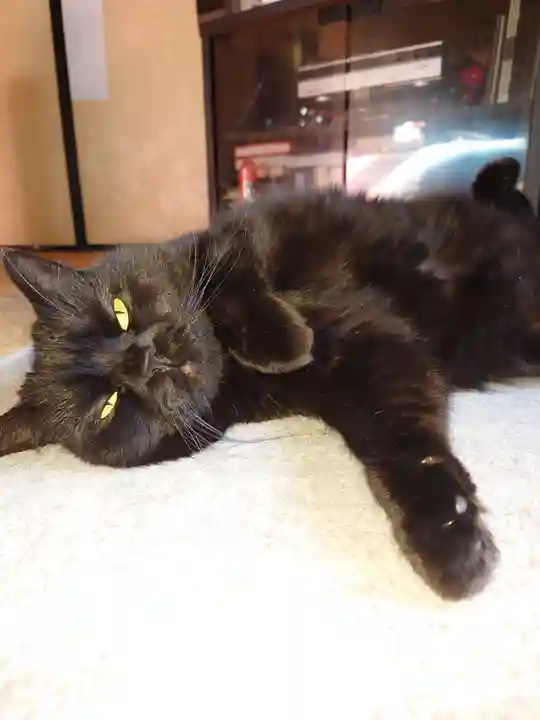 立川熊野神社(東京都)