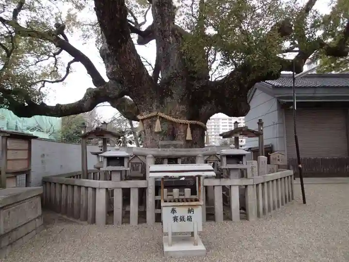 杭全神社の自然