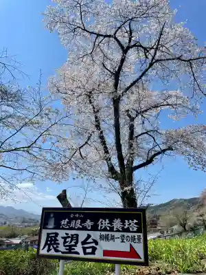 慈眼寺の{uncategorized: "未分類", other: "その他", undefined: "問題あり", building: "その他建物", grave: "お墓", sacred_gate: "鳥居", guardian: "狛犬", statue: "像", buddha: "仏像", history: "歴史", nature: "自然", garden: "庭園", animal: "動物", pagoda: "塔", temizu: "手水舎", mountain_gate: "山門・神門", sanctuary: "本殿・本堂", subordinate: "末社・摂社", art: "芸術", scenery: "景色", jizo: "地蔵", ema: "絵馬", goshuin: "御朱印", omikuji: "おみくじ", items: "授与品その他", amulet: "お守り", goshuincho: "御朱印帳", eats: "食事", festival: "お祭り", votive_dance: "神楽", shichigosan: "七五三参", wedding: "結婚式", experience: "体験その他", initially: "初詣", around: "周辺", anti_infection: "感染症対策"}