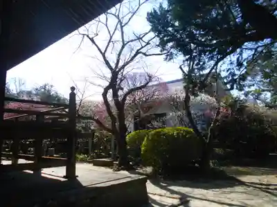 宝戒寺のその他建物