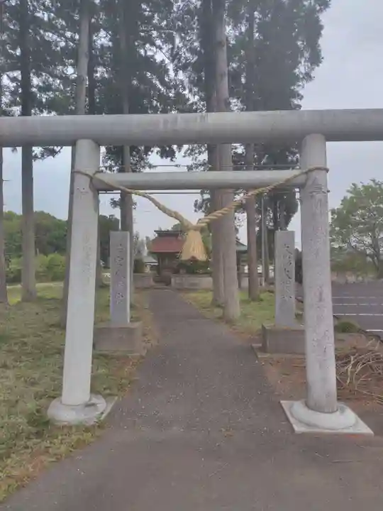 若宮八幡宮 大杉神社(茨城県)