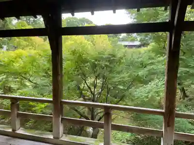 龍吟庵（竜吟庵）(京都府)