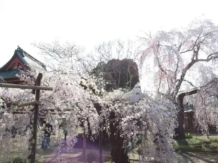 慶龍寺(茨城県)