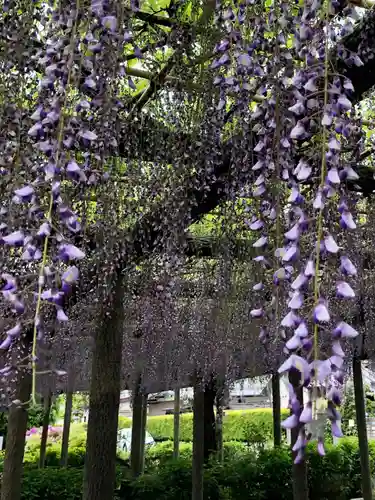 日吉神社の庭園
