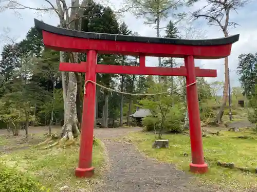 胎内神社の鳥居