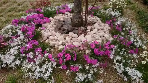 寿量山　速成寺の庭園