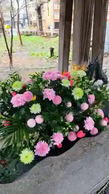 彌彦神社　(伊夜日子神社)の手水舎