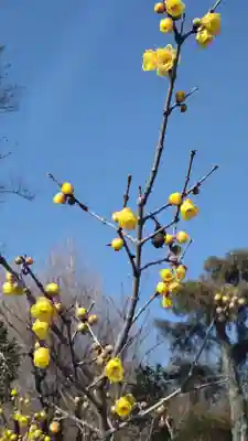 横浜　西方寺(神奈川県)