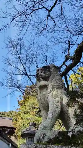 松尾大社の狛犬