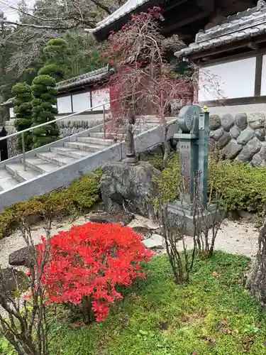 圓融寺(埼玉県)