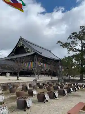 本山専修寺のその他建物