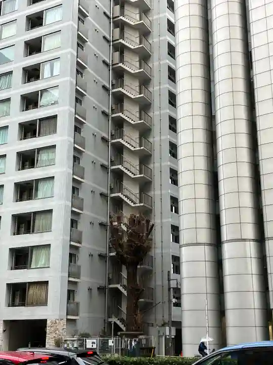 箒銀杏天満宮(東京都)