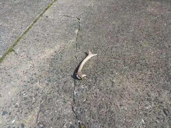 田耕神社(山口県)