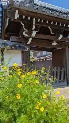 法然寺(京都府)