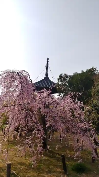 清凉寺(京都府)