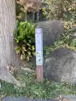 二伝寺(ニ傳寺)(神奈川県)