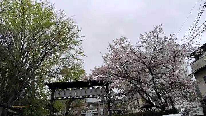 安井金比羅宮(京都府)