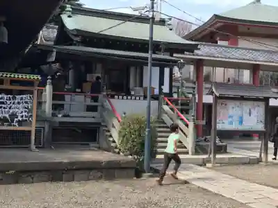 新井薬師(梅照院)の本殿・本堂