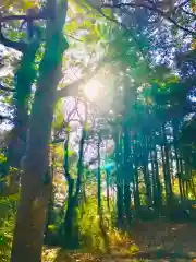 蛟蝄神社奥の宮の自然