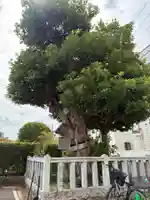 安国院(千葉県)