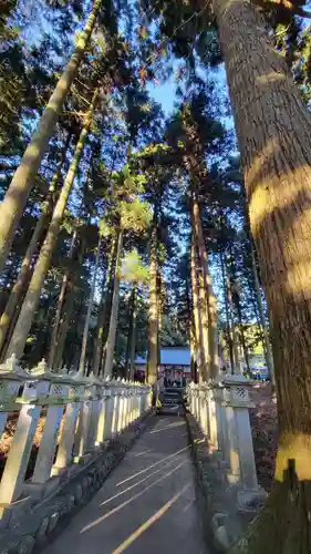 山宮浅間神社の建物その他