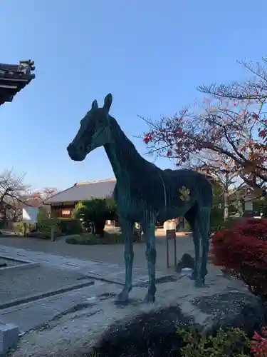 橘寺の狛犬