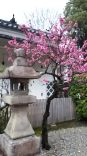 御香宮神社(京都府)