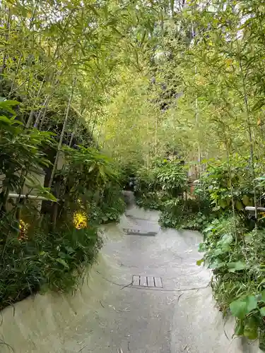 來宮神社の庭園