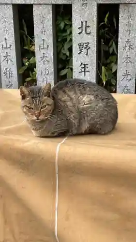 和泉國一之宮　大鳥大社の動物