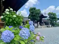 六孫王神社(京都府)