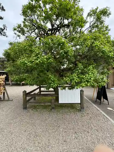 射水神社の庭園