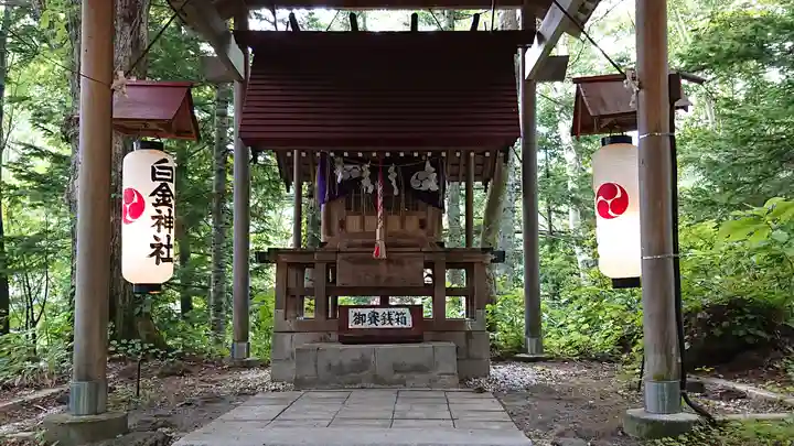 白金神社の本殿・本堂
