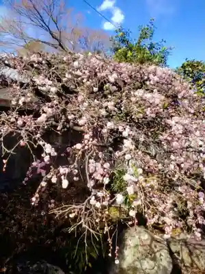 松應寺(東京都)