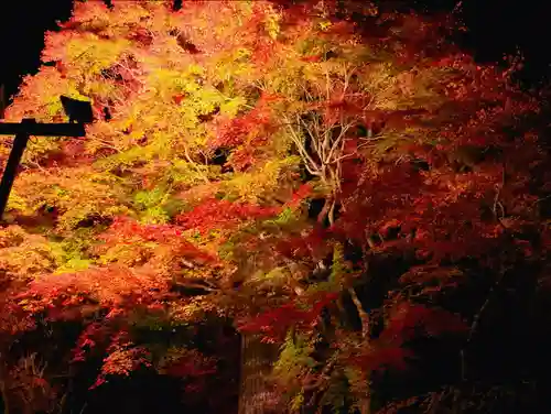 談山神社の自然