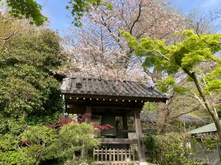 浄光明寺(神奈川県)