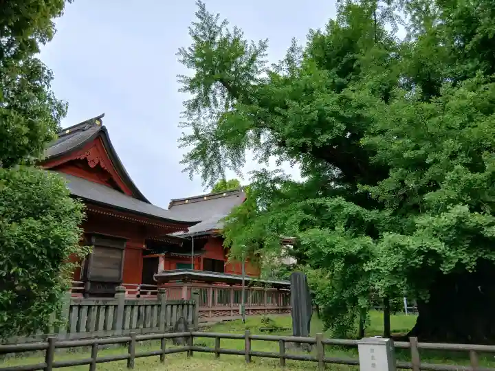 飯香岡八幡宮の{uncategorized: "未分類", other: "その他", undefined: "問題あり", building: "その他建物", grave: "お墓", sacred_gate: "鳥居", guardian: "狛犬", statue: "像", buddha: "仏像", history: "歴史", nature: "自然", garden: "庭園", animal: "動物", pagoda: "塔", temizu: "手水舎", mountain_gate: "山門・神門", sanctuary: "本殿・本堂", subordinate: "末社・摂社", art: "芸術", scenery: "景色", jizo: "地蔵", ema: "絵馬", goshuin: "御朱印", omikuji: "おみくじ", items: "授与品その他", amulet: "お守り", goshuincho: "御朱印帳", eats: "食事", festival: "お祭り", votive_dance: "神楽", shichigosan: "七五三参", wedding: "結婚式", experience: "体験その他", initially: "初詣", around: "周辺", anti_infection: "感染症対策"}