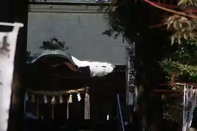 豊景神社の本殿・本堂