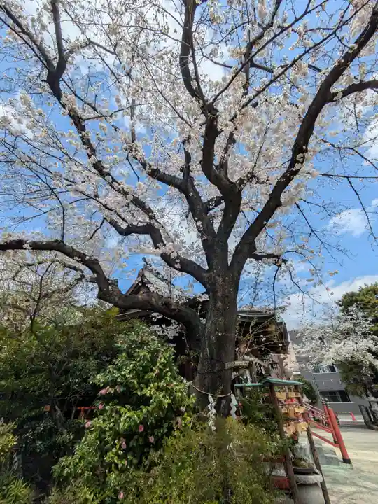 三谷八幡神社(東京都)