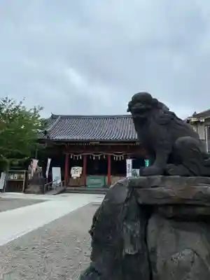 浅草神社の狛犬