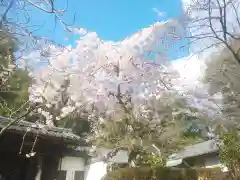 岩屋寺の自然