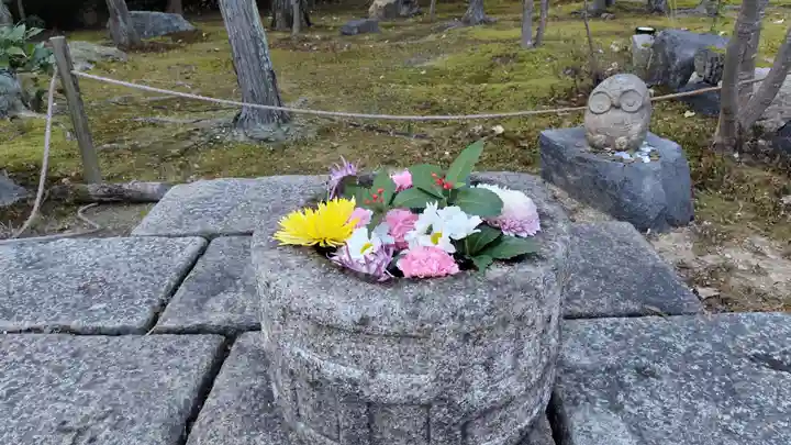 勝林寺(京都府)