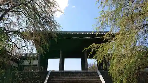 東郷寺の山門・神門
