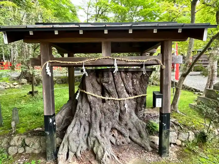 大原野神社(京都府)