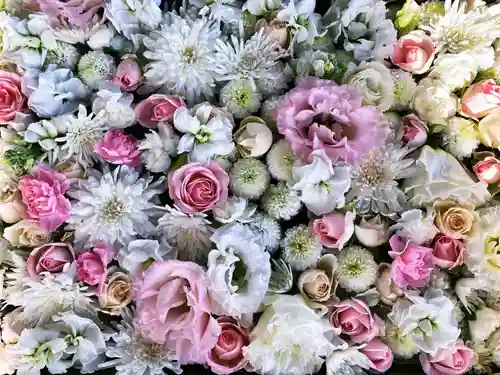 立志神社(滋賀県)