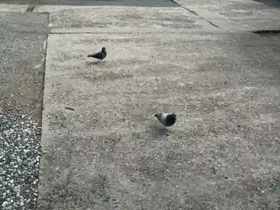 阿邪訶根神社(福島県)