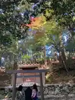 大山祇神社(伊勢神宮内宮)(三重県)