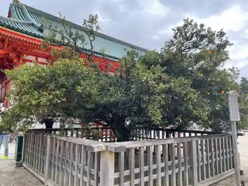 平安神宮の自然