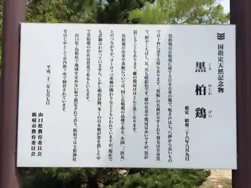 玉祖神社(山口県)
