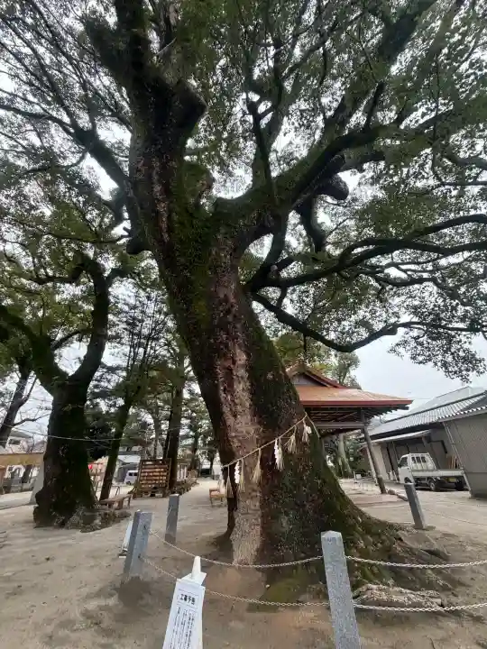 現人神社の{uncategorized: "未分類", other: "その他", undefined: "問題あり", building: "その他建物", grave: "お墓", sacred_gate: "鳥居", guardian: "狛犬", statue: "像", buddha: "仏像", history: "歴史", nature: "自然", garden: "庭園", animal: "動物", pagoda: "塔", temizu: "手水舎", mountain_gate: "山門・神門", sanctuary: "本殿・本堂", subordinate: "末社・摂社", art: "芸術", scenery: "景色", jizo: "地蔵", ema: "絵馬", goshuin: "御朱印", omikuji: "おみくじ", items: "授与品その他", amulet: "お守り", goshuincho: "御朱印帳", eats: "食事", festival: "お祭り", votive_dance: "神楽", shichigosan: "七五三参", wedding: "結婚式", experience: "体験その他", initially: "初詣", around: "周辺", anti_infection: "感染症対策"}