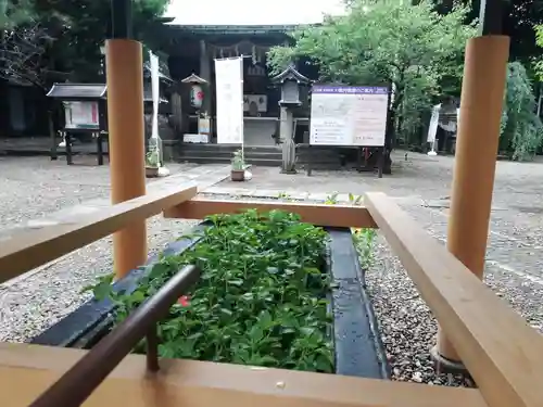 上目黒氷川神社の手水